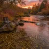 Small Rivers You Can Wade in September: Finding Fall Fish Without a Boat