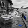The Fishing Club Moved Online. Something Got Lost in the Migration