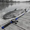 Why custom catfish rods change everything for serious anglers