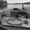 Fall Crappie on Light Tackle: Why September Schools Are Worth the Drive