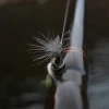 The Ethical Angler's Dilemma: Is Catching and Releasing Truly Harmless?