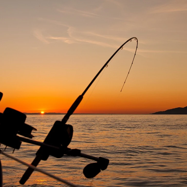 Enhancing Your Pontoon Boat Experience with a Depth Finder