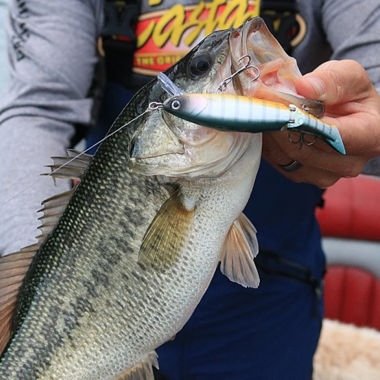 Exploring the Thrills of Fishing from an Inflatable Boat