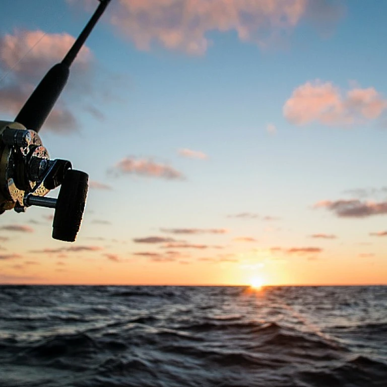 Enhancing Your Pontoon Experience with a Depth Finder