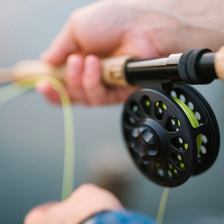 Insights from the ocean explorer's fishing report