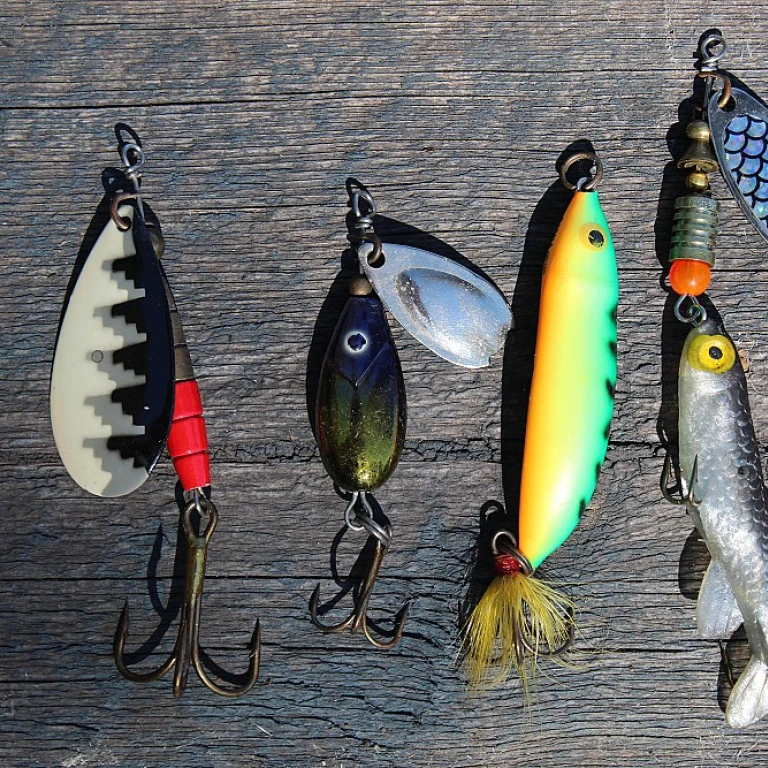 The Best Strategies for Using Mullet Bait in Recreational Fishing