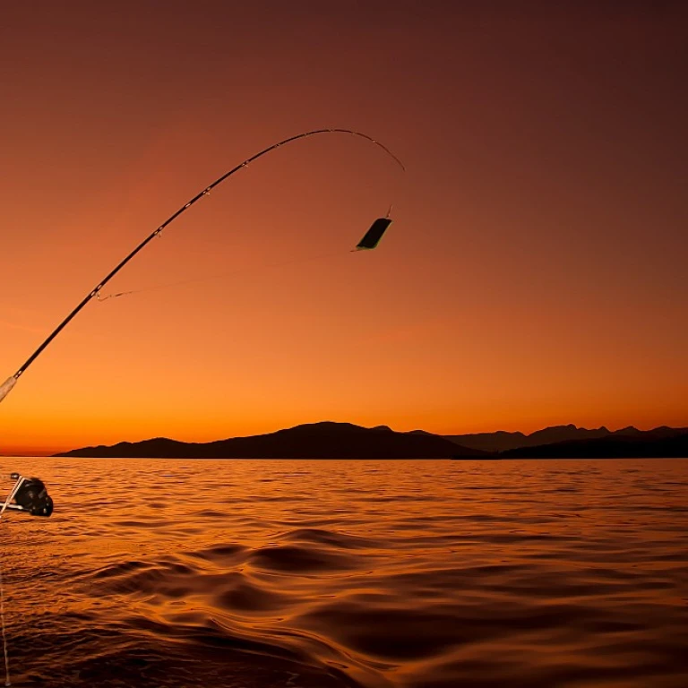 A Comprehensive Guide to Fly Fishing Flies