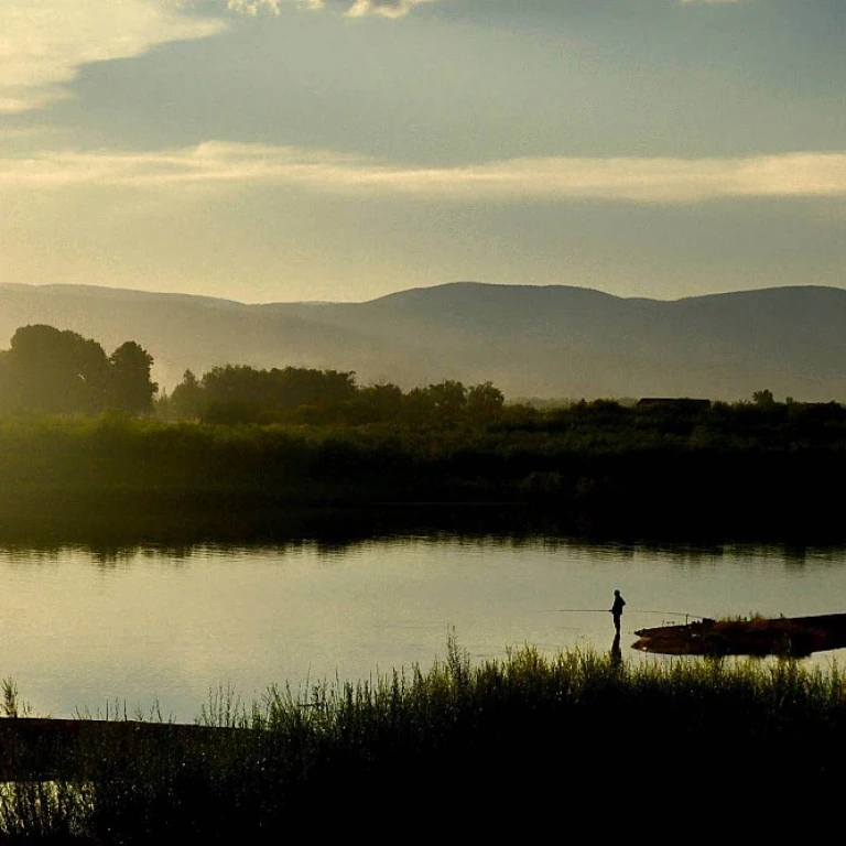 Enhancing Your Fly Fishing Experience with Innovative Bobbers