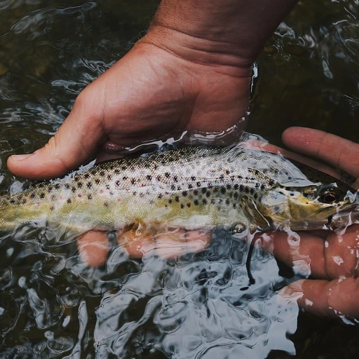 Mastering the Art of Left-Handed Baitcast Combos