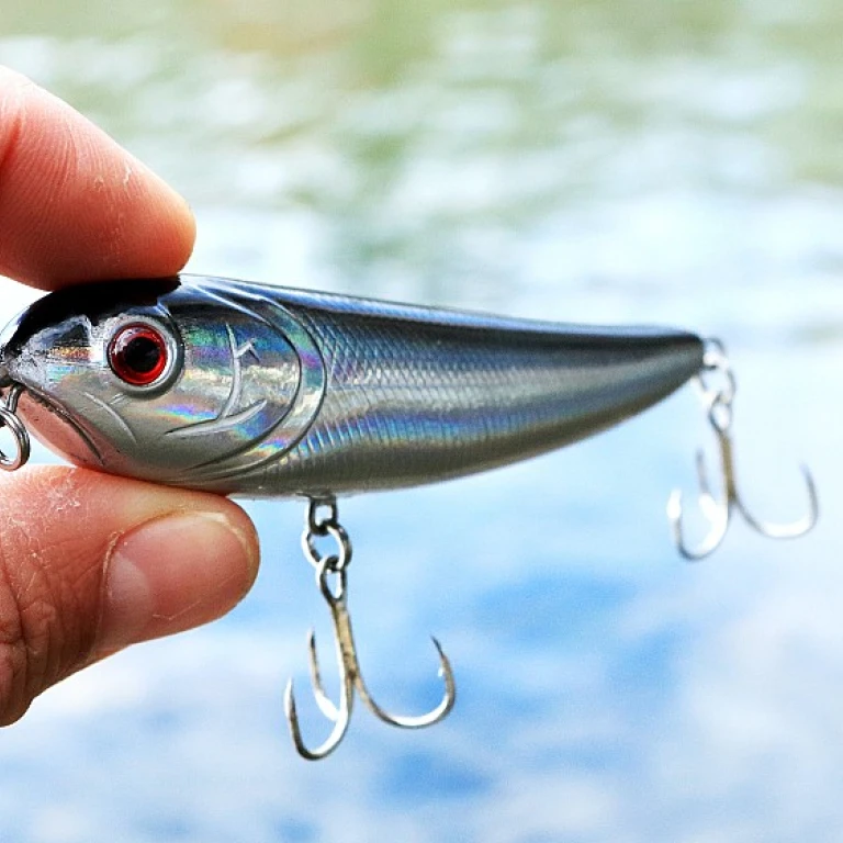 Understanding the Differences: Fly Fishing vs. Regular Fishing