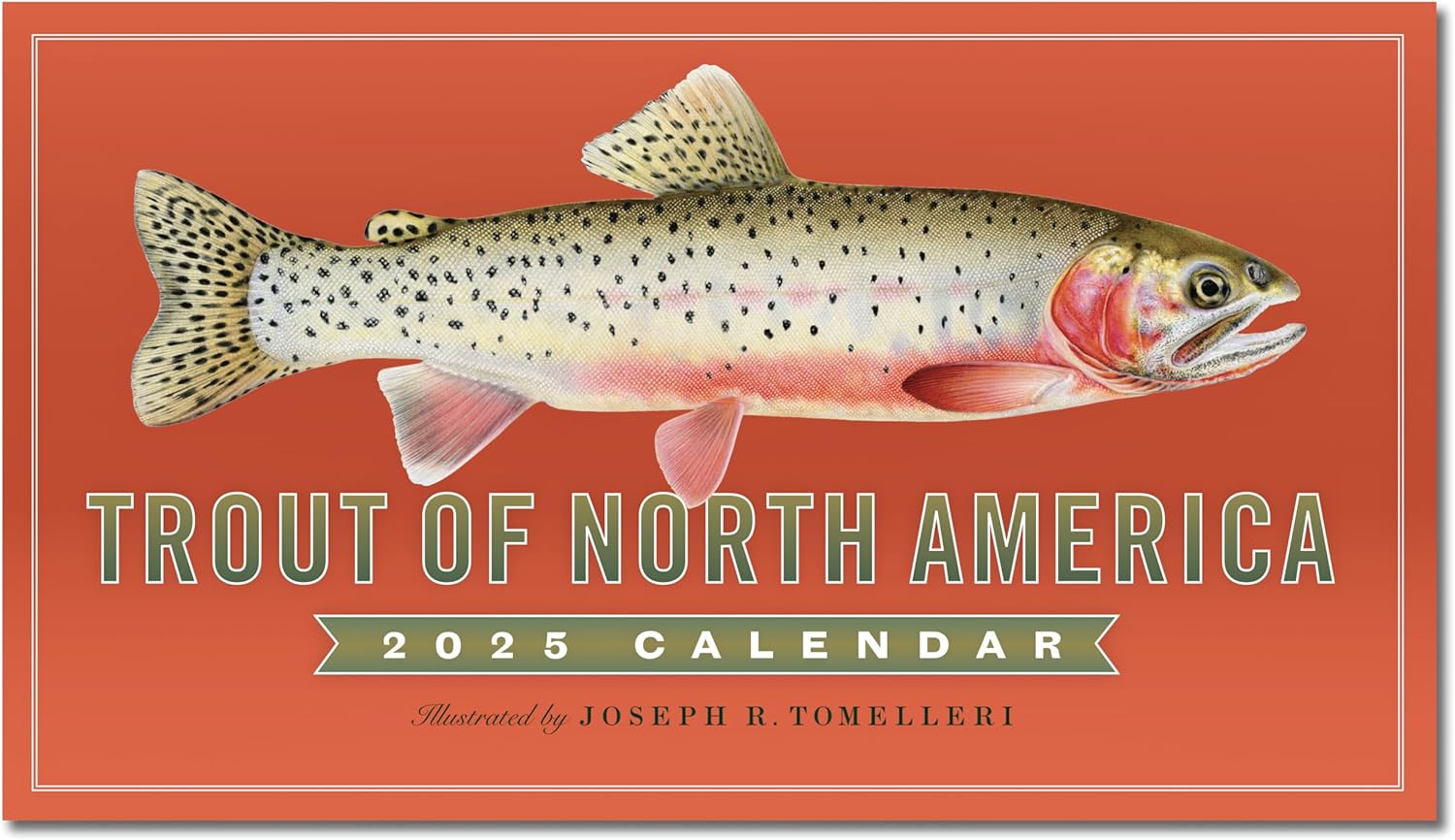Trout of North America Wall Calendar 2025, Monthly January-December 14'' x 8"