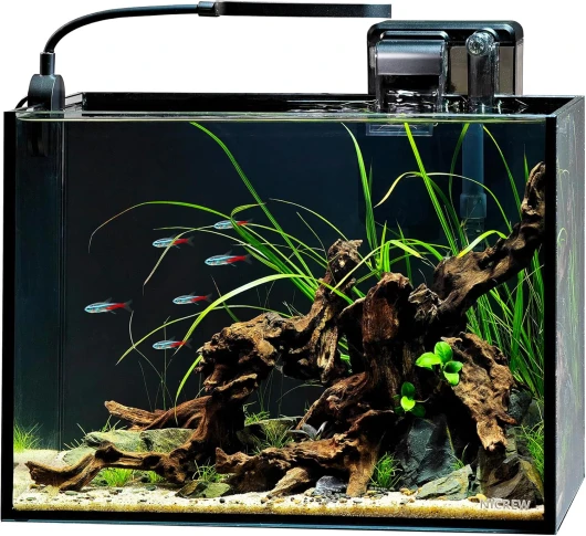 2.5 Gallon Nano Nature Aquarium Kit, Ultra-Clear Rimless Desktop Fish Tank with Light and Filter, Perfect for Small Fish, Shrimp, or Betta, Basic Version, Black Black Basic Kit (without gravel and rock)