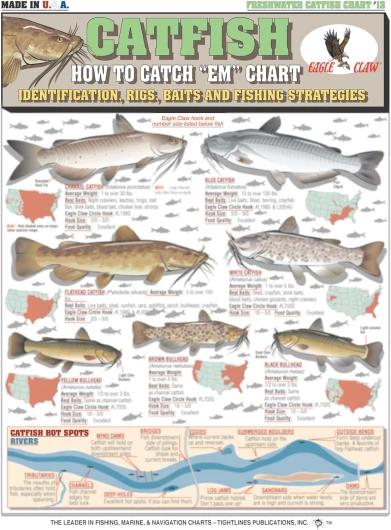 How to Catch 'Em Catfish Identification #13 (Identification, Rigs, & Fishing Strategies) - Waterproof Quick Reference Guide - Portable & Built to Last - Double-Sided & Easy to Read
