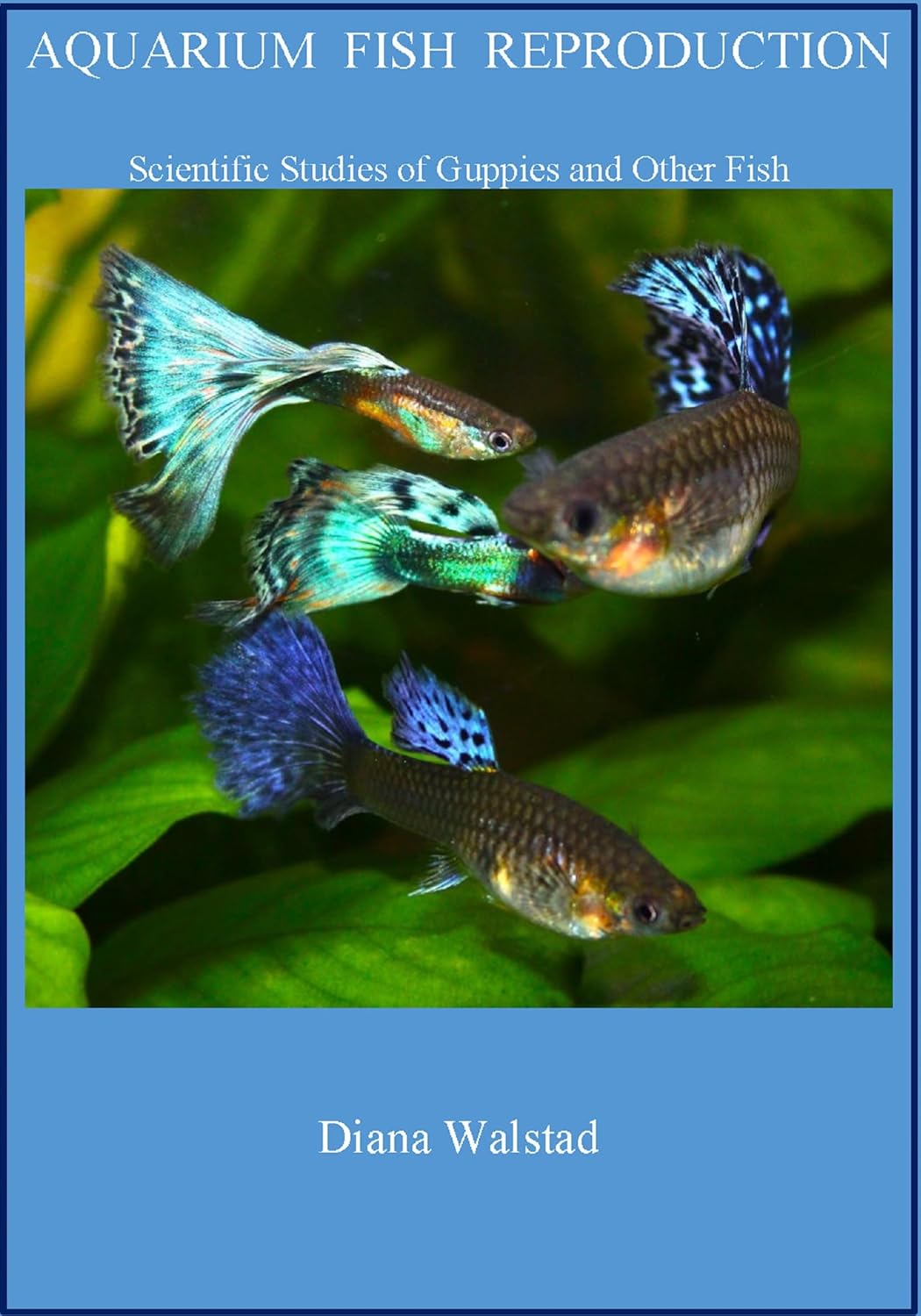 Aquarium Fish Reproduction: Scientific Studies of Guppies and Other Fish