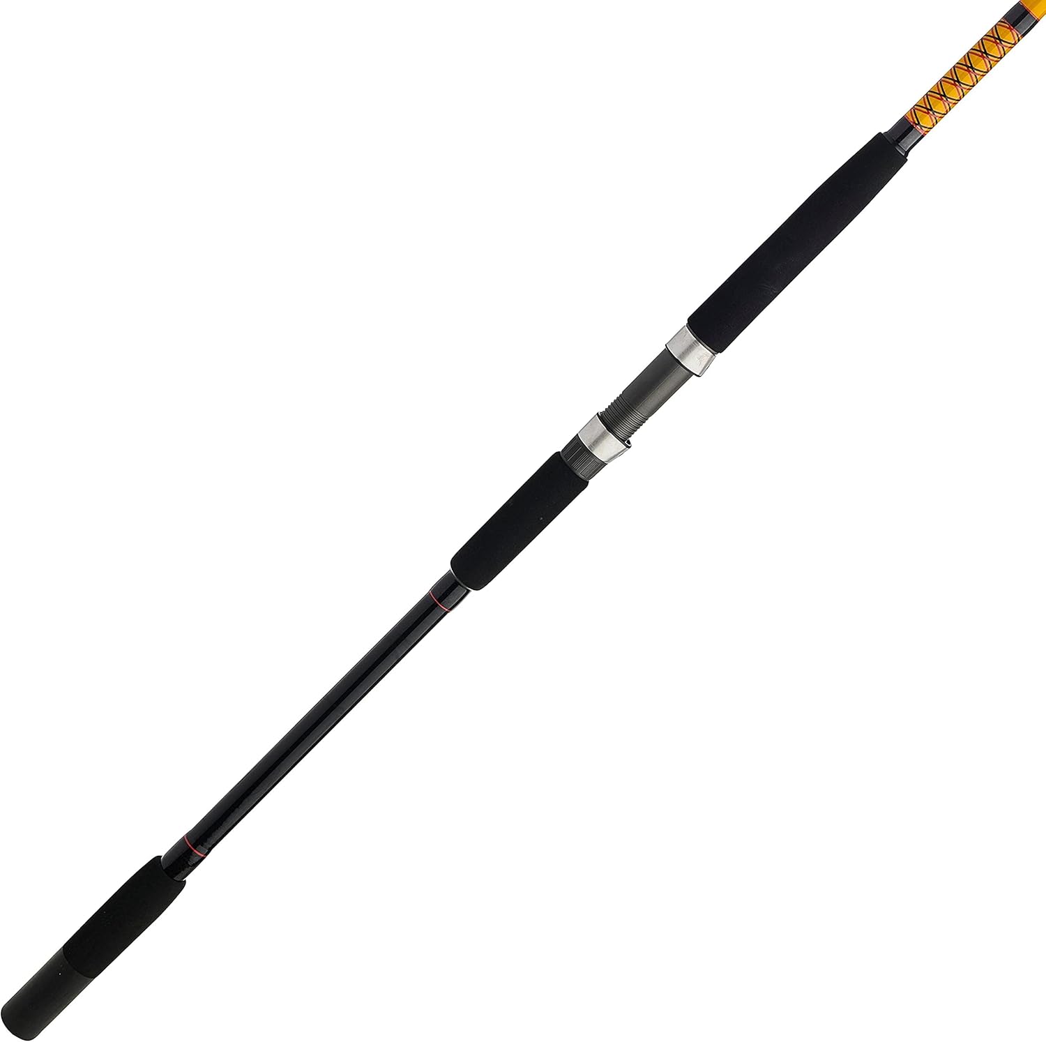 Bigwater Spinning Fishing Rod 12' - Heavy - 20-40lb - 2pc New Model