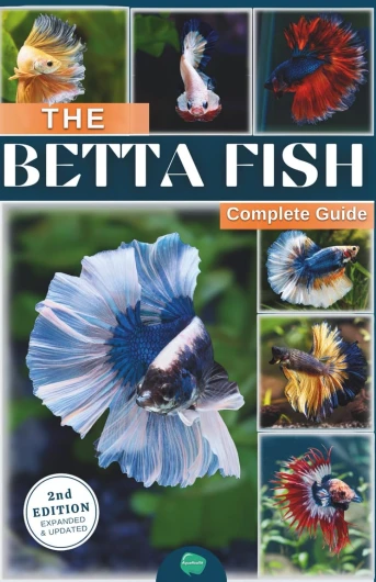 The betta fish book: A complete guide on betta fish care, the tank, habitat, diet, breeding, diseases, buying and all more informations about this fabulous fish