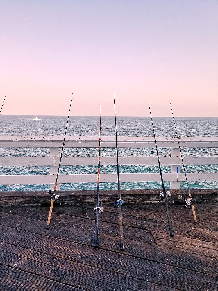 Exploring Shimano's Fishing Gear for Enthusiasts