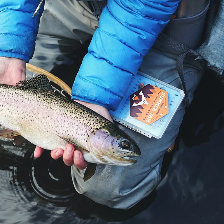 Exploring the Best of Orvis Fishing Gear