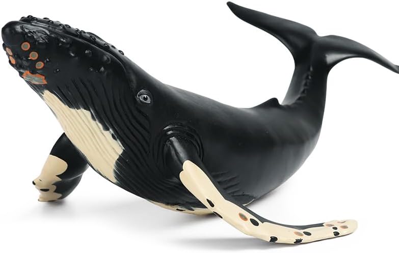 EOIVSH Soft Rubber Humpback Whale, 14.2 inch Sea Animal Whale Toys, Realistic Ocean Animal Figure for Kids, Great for Cake Topper, Birthday Gift
