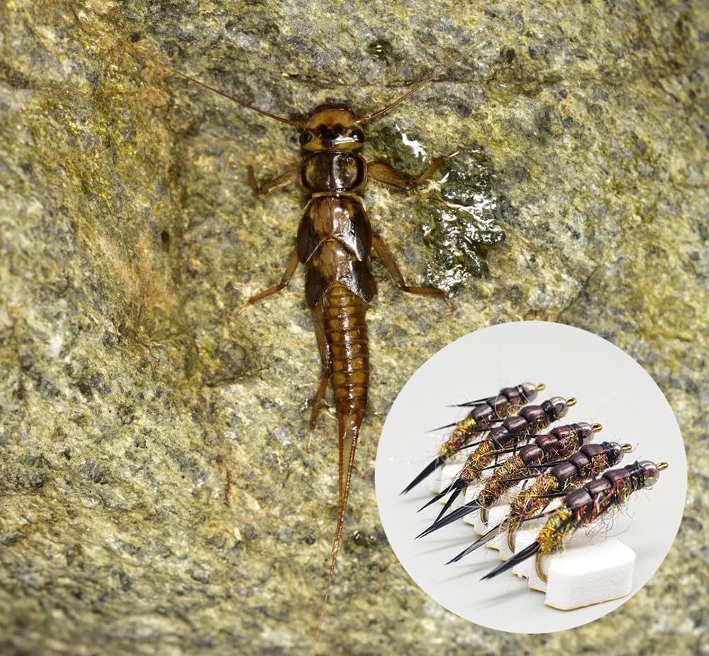Pack of 10 Nymph stonefly Fly Flies Trout Fishing Artificial Insect Fishing Bait Lure