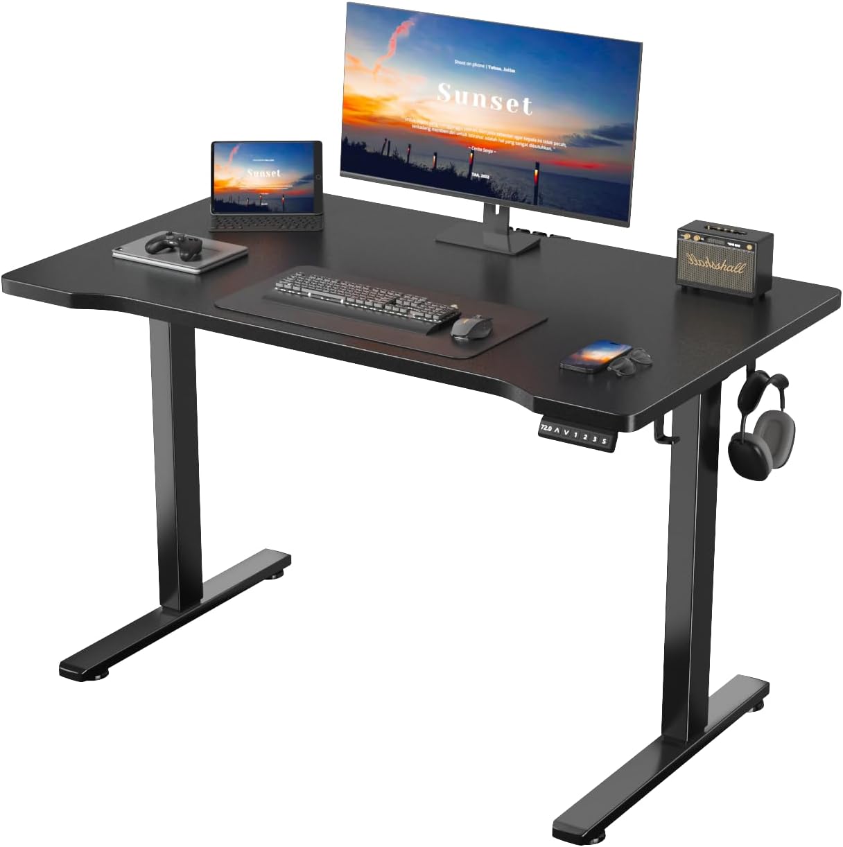 48 x 24 Inches Electric Standing Desk with Light Strip, Stand up Desk with Memory Preset, Height Adjustable Desks for Work Home Office, Computer Desks with Detachable Side Mount Pocket, Black Black 48"W x 24"D x 48"H