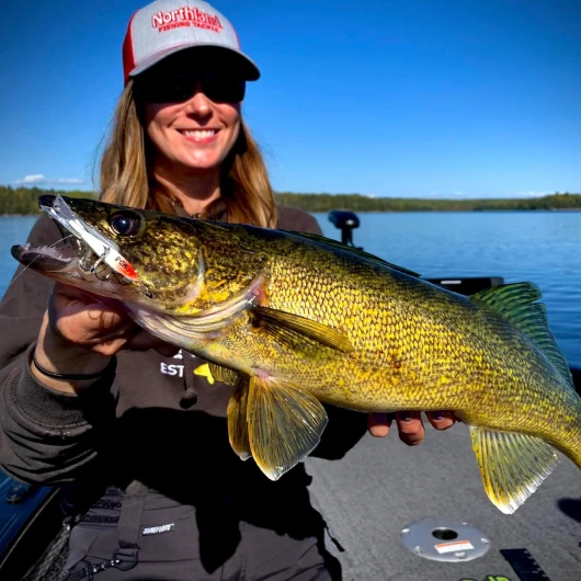 71ppch-PLuL._AC_SL1500_