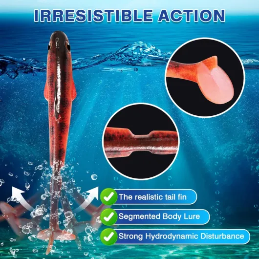 81AuxN9W2BL._AC_SL1500_