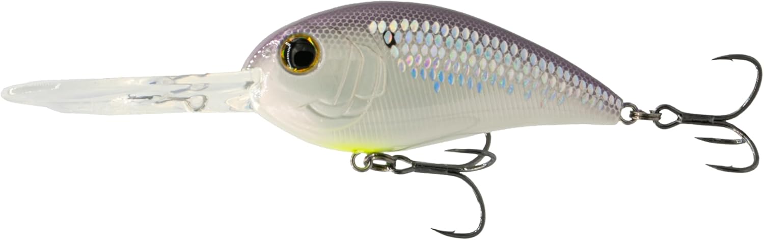 Crush Deep Diving Crankbait – DD Series Hard Bait for Deep Water Bass – Realistic Paint, 3D Details & Sharp Hooks Smash Fest