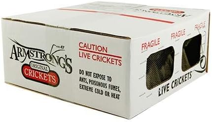 1000 Count, Live Crickets: Adult (Acheta Domestica)