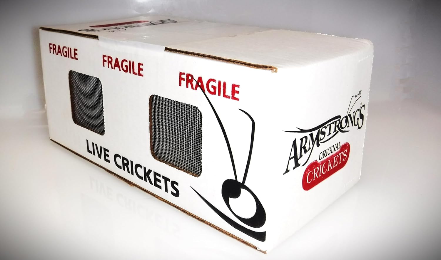 500 Live Crickets - Acheta Domestica (1" Adult) 1 Count (Pack of 500)