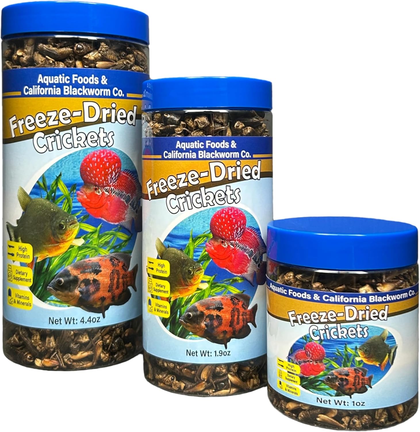 Aquatic Foods Inc - Crickets, Freeze Dried Crickets for Large Tropical Fish, Monster Fish, Reptiles, Turtles, Tortoises, Frogs, Hamsters, Birds, Rodents 1.0oz Canister 1 Ounce (Pack of 1)