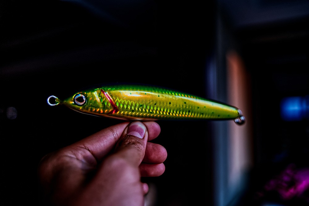 Silver fish with yellow fins saltwater: a deep dive into identification ...