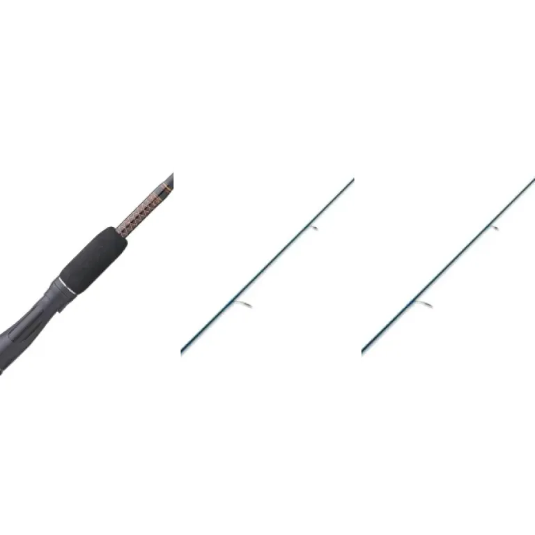 Guide: the 10 best spinning rods (2026)