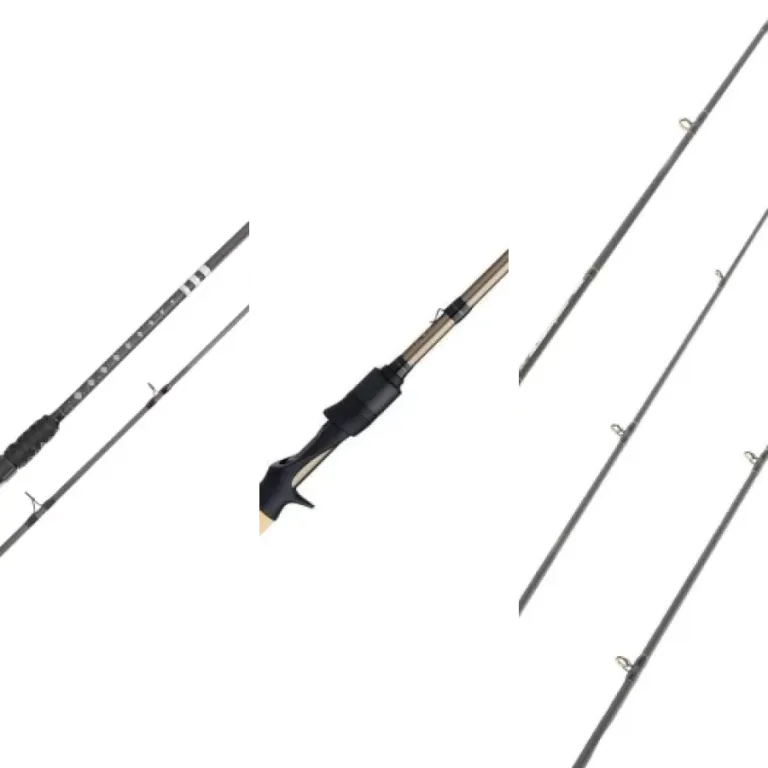 Top 8: best casting rods (2026)
