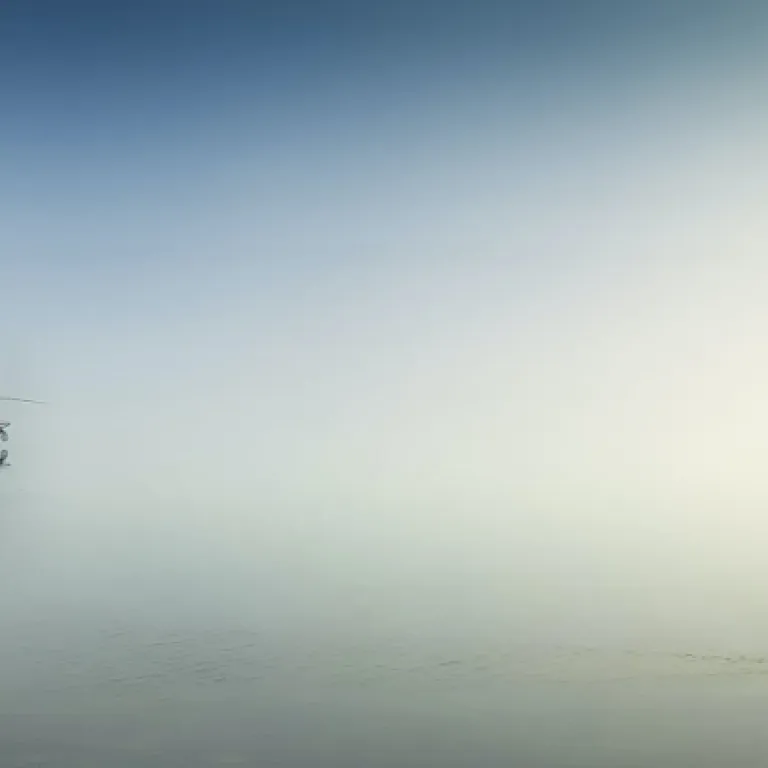 Refining vertical jigging for lake trout in deep clear water