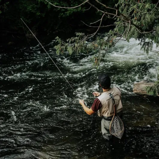 71nfWo HUNL._AC_SL1000_