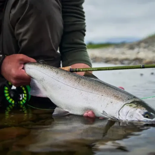 Redington Fly Fishing Field Kit Review: a no‑nonsense salmon setup that’s ready to fish out of the tube