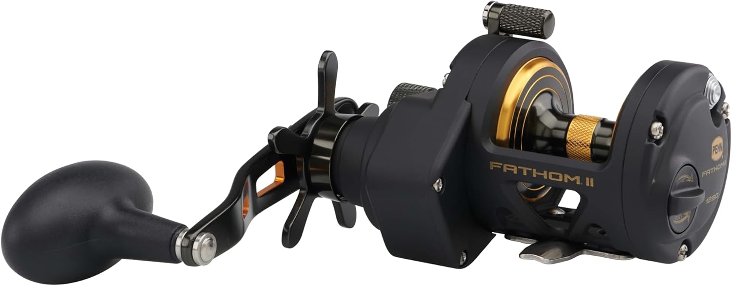 Fathom II Star Drag Multiplier Reel - Saltwater Fishing Reel for Boat, Shore Casting and Kayak Fishing, Black/Gold Black Gold 12 - Right Hand