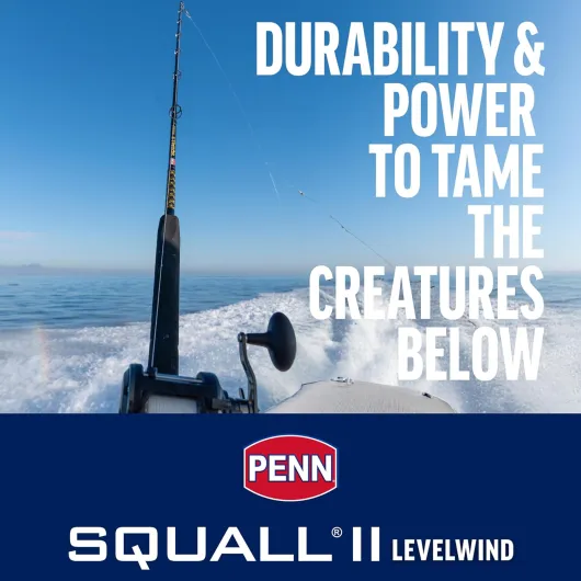 Squall II Level Wind Multiplier Fishing Reel - Boat, Kayak or Shore - Strong, Powerful Multiplier for Big Fish 20RH Squall Ii Level Wind Black Gold