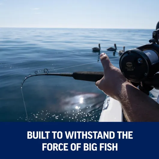 71MhAFmrnUL._AC_SL1500_