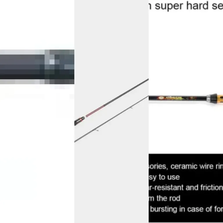 Guide: the 5 best ice fishing rods (2026)