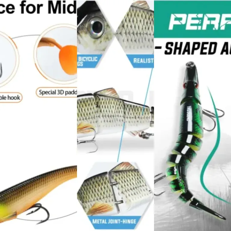 Guide: the 5 best swimbaits (2026)