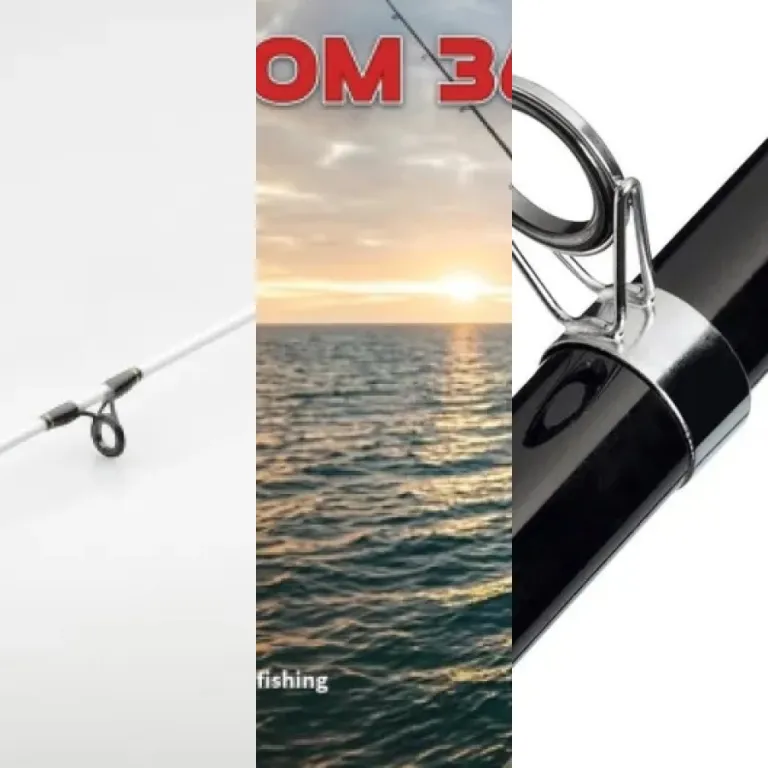 Top 6 best surf rods (2026)