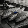 The Two-Hour Fishing Trip: Planning a Short Outing That Actually Delivers