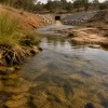 The Endangered Species Act Just Lost Its Habitat Shield. Here Is What Changed for Fish